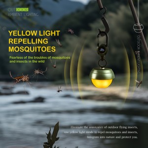China New Portable Rechargeable Multifunctional Pine Cone Atmosphere Lamp
