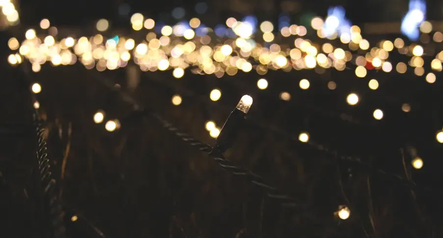 Top 10 Wholesale Suppliers of Energy-Efficient Fairy Lights for Commercial Use
