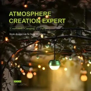 China New Portable Rechargeable Multifunctional Pine Cone Atmosphere Lamp