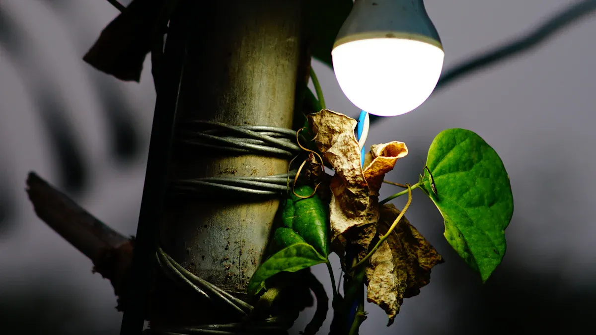 Top 10 Solar Lights for Outdoor Use in 2025