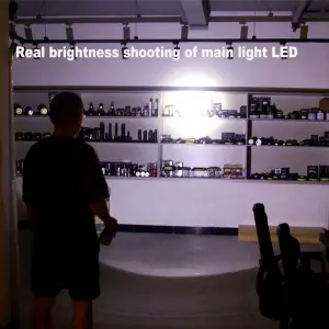 Bright and portable dual head solar powered lighting  lamp
