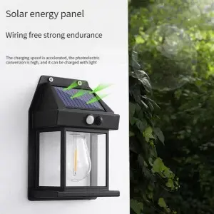 Courtyard garden induction lighting solar lamp