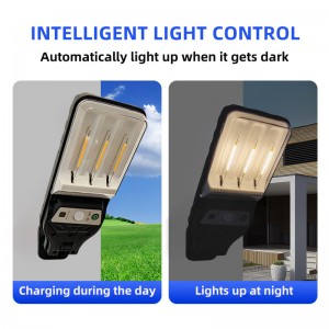 Solar LED Wall Mount Light
